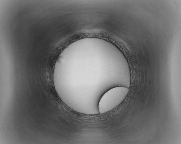 X0000113170966200909040931