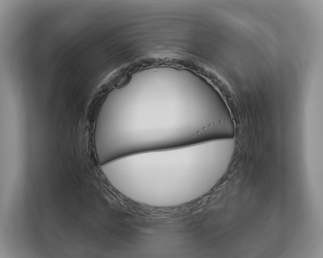 X0000113170968200909040931