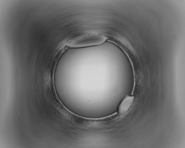 X0000113170969200909040931