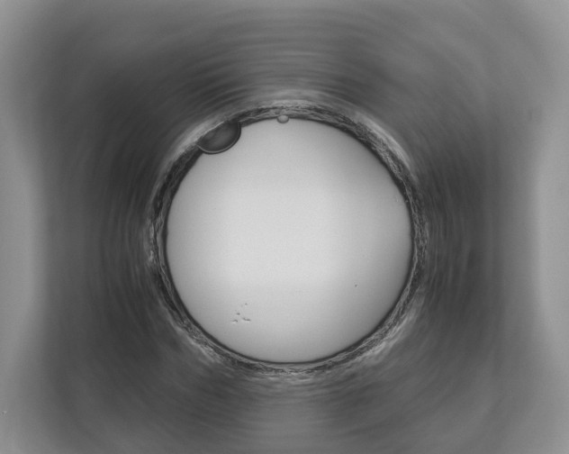 X0000113170970200909040931