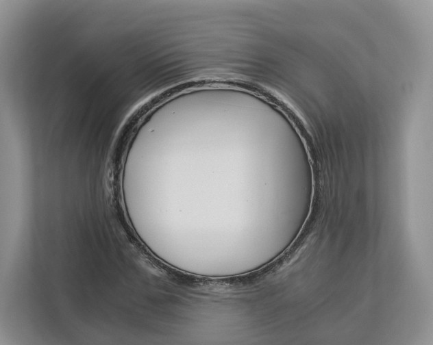 X0000113170971200909040931