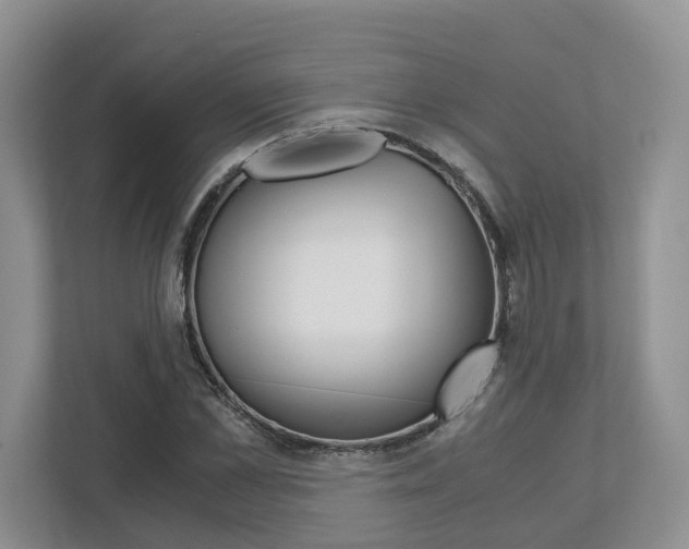 X0000113170973200909040930