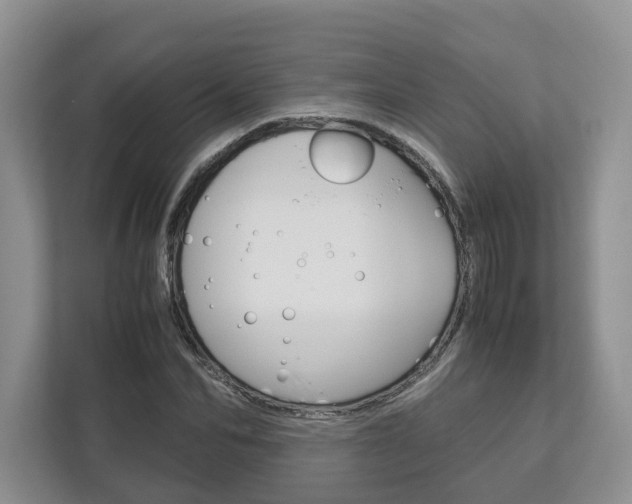 X0000113170974200909040930