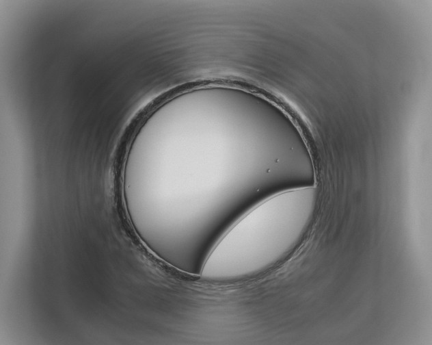 X0000113170975200909040930