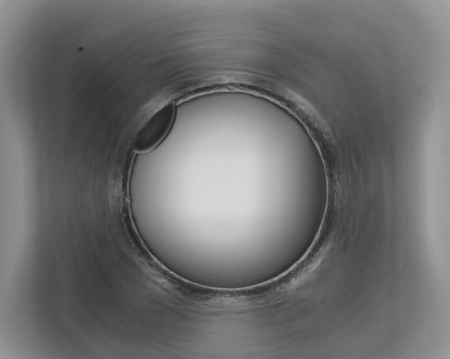 X0000113170977200909040930