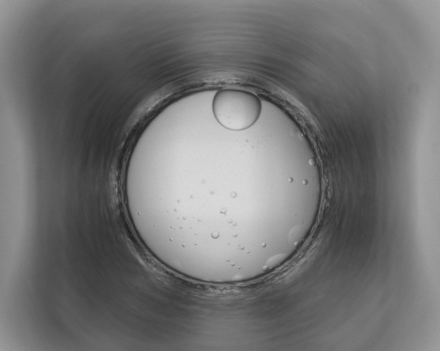 X0000113170978200909040930