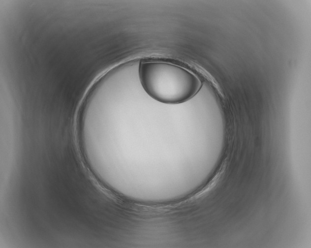X0000113170981200909040930