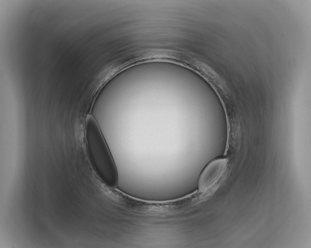 X0000113170985200909040930