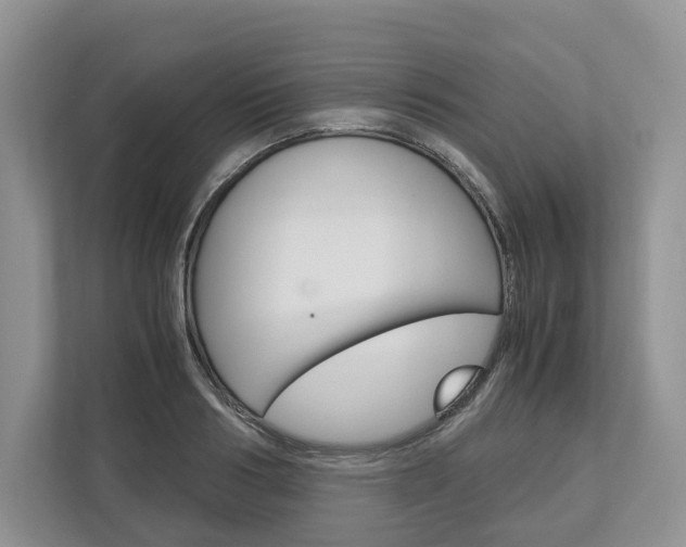 X0000113170986200909040930