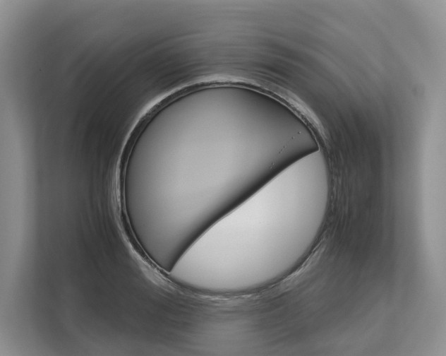 X0000113170988200909040930