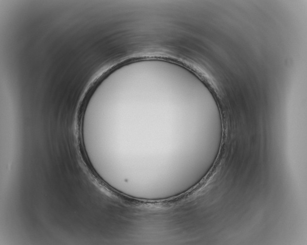 X0000113170990200909040930