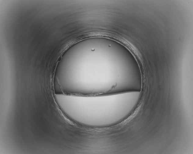 X0000113170993200909040930