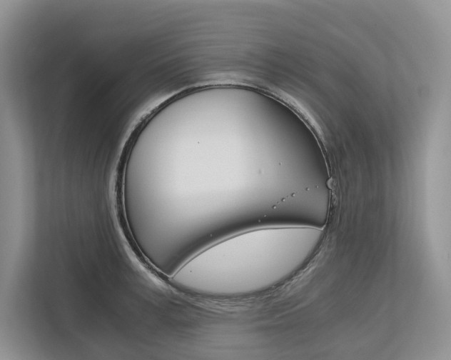 X0000113170995200909040930