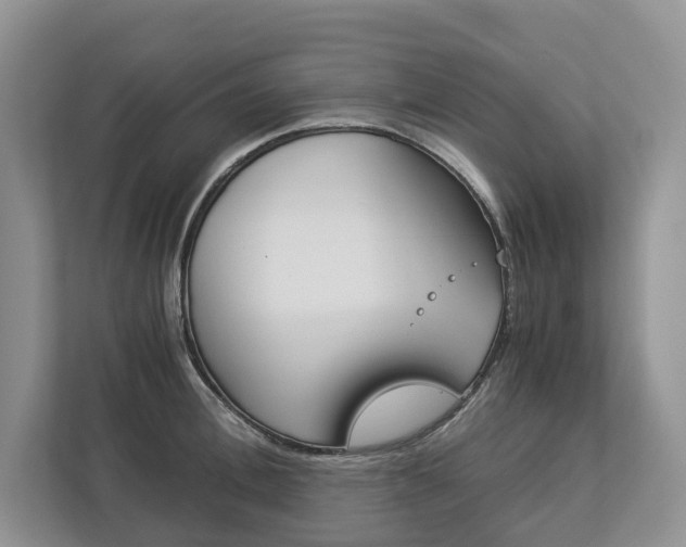 X0000113170996200909040930