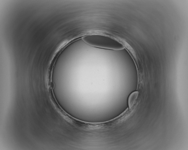 X0000113170997200909040930