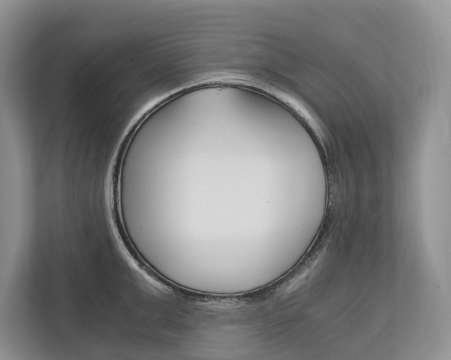 X0000113170999200909040930
