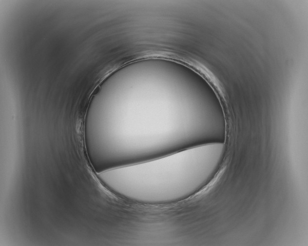 X0000113171001200909040930