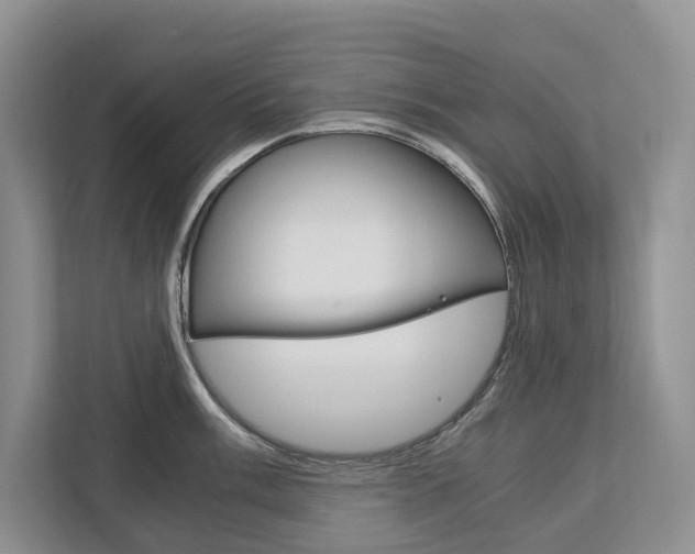 X0000113171003200909040930