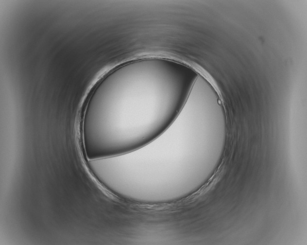 X0000113171005200909040930