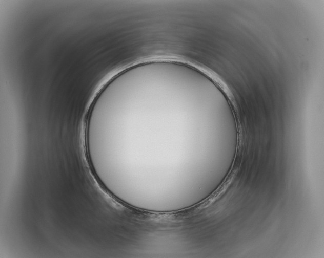 X0000113171006200909040930