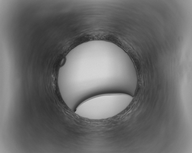 X0000113171010200909040929