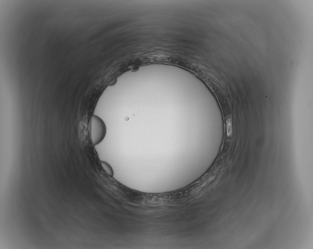 X0000113171011200909040929