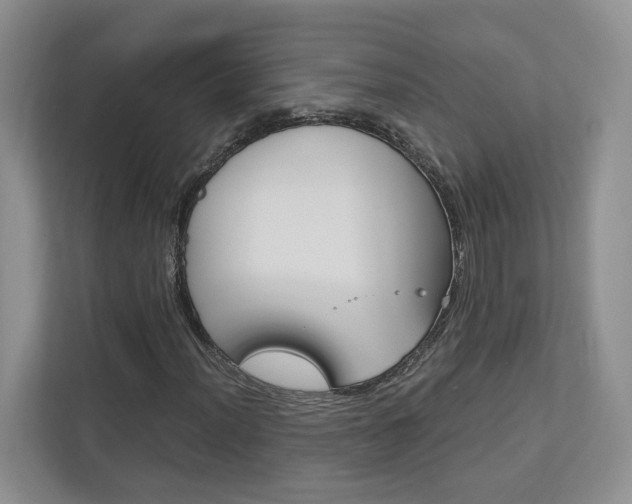 X0000113171012200909040929