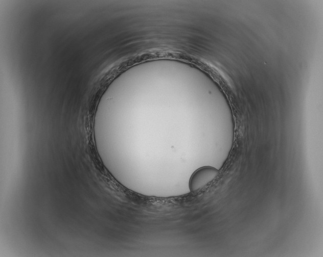 X0000113171015200909040929