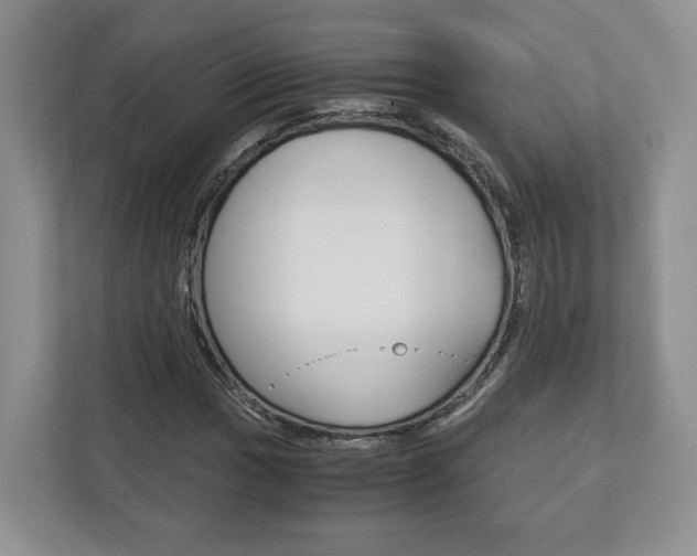X0000113171017200909040930