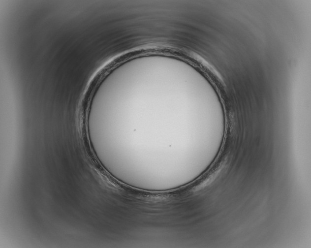 X0000113171021200909040930