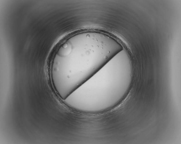 X0000113171022200909040930