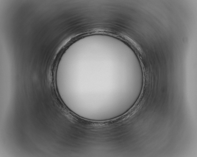 X0000113171023200909040930