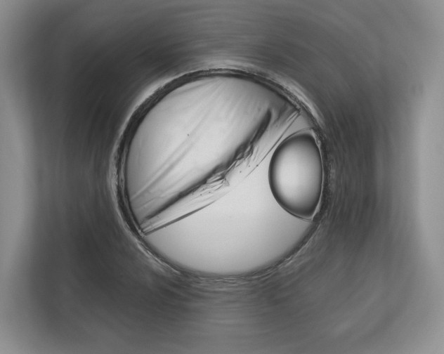 X0000113171024200909040930