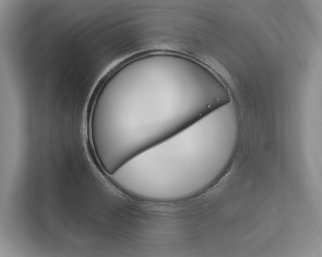 X0000113171028200909040930