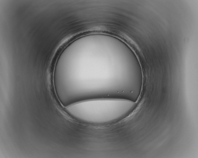 X0000113171029200909040930