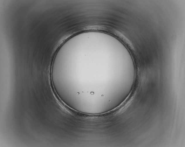 X0000113171033200909040930