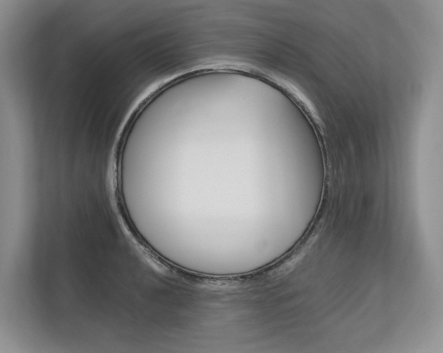 X0000113171040200909040930