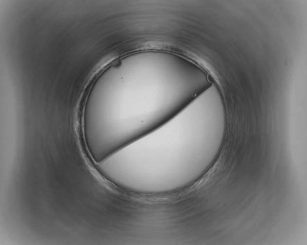 X0000113171042200909040930