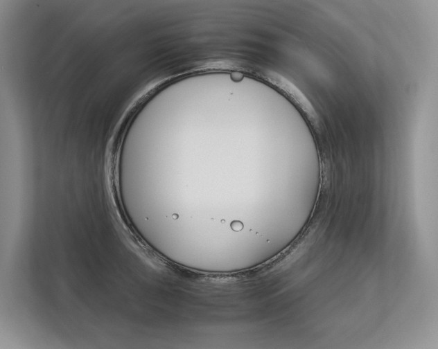 X0000113171043200909040930