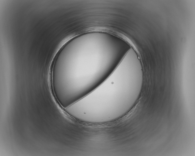 X0000113171050200909040930