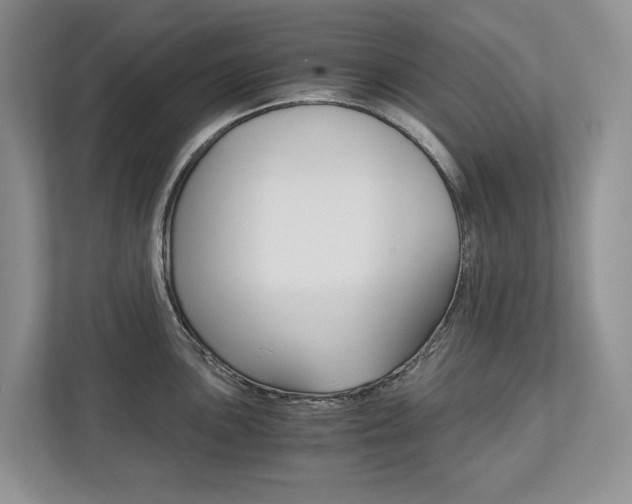 X0000113171051200909040930
