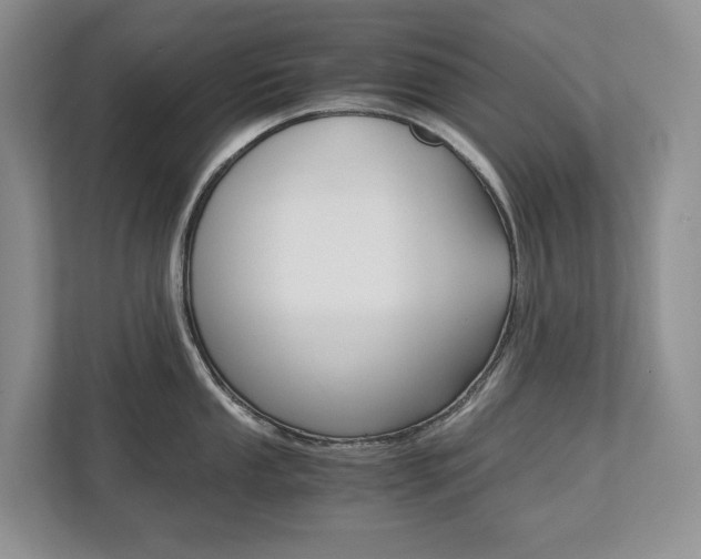 X0000113171053200909040930