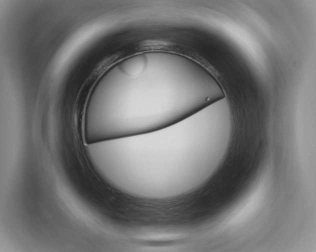 X0000113171054200909040930