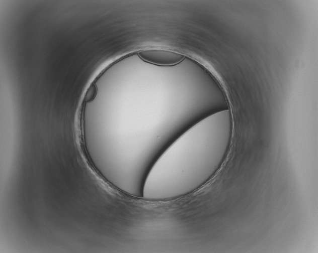 X0000113171056200909040930