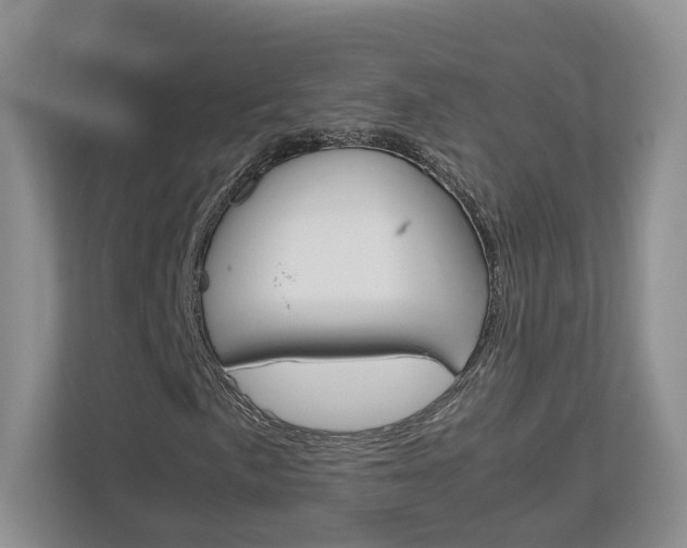X0000113171057200909040929