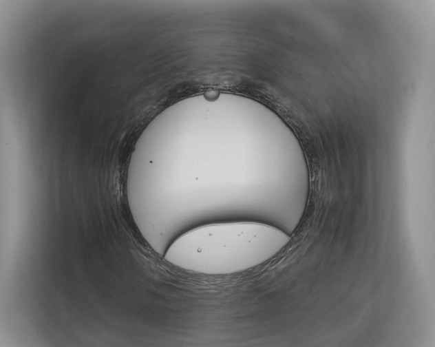 X0000113171058200909040929