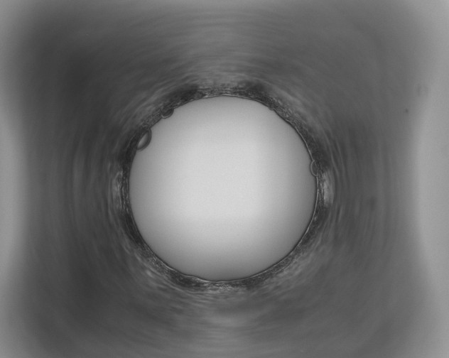 X0000113171059200909040929