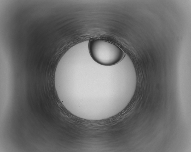 X0000113171060200909040929