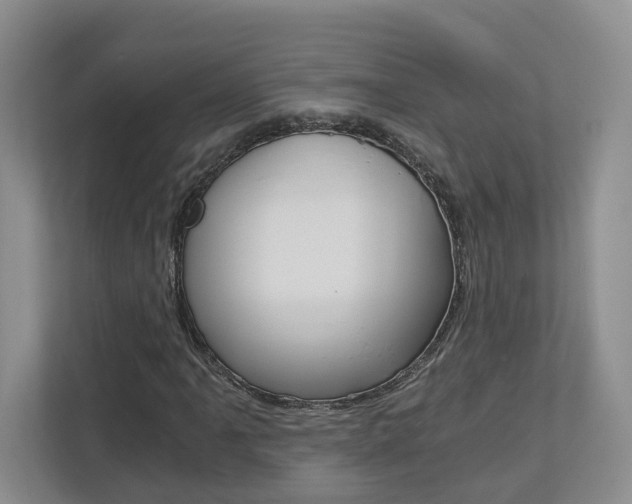 X0000113171061200909040929
