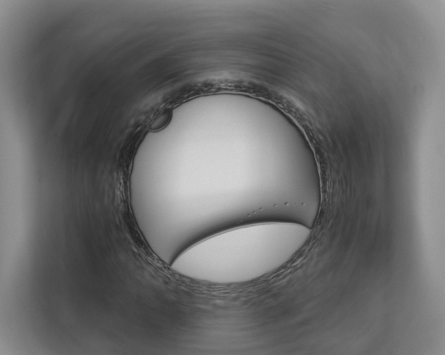 X0000113171062200909040929